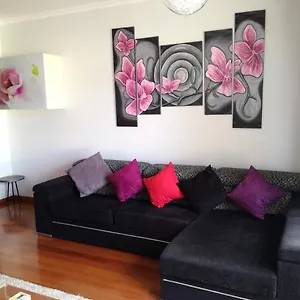 Uptown Madalenas Appartamento Funchal (Madeira)